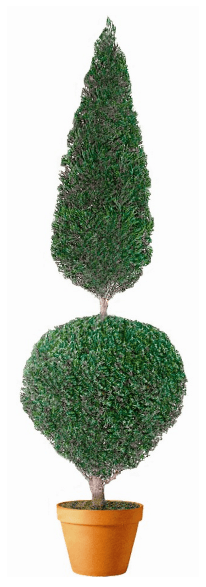 Preserved Cone and Ball Topiary 60 inches in Juniper Foliage